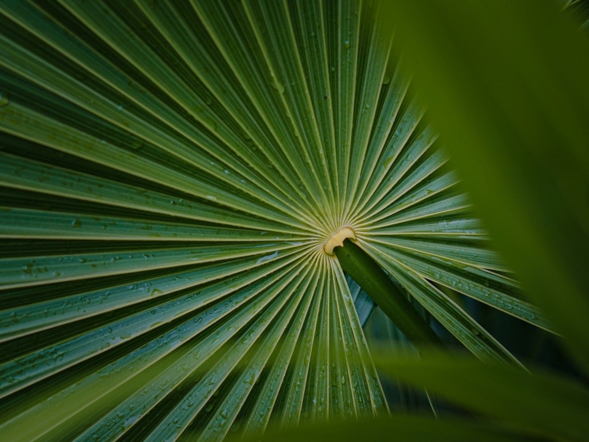 hotel mgallery thalasso normandie cure deauville thalassotherapie trouville thalassotherapy seawater treatments spa spa marin cryotherapie hotel mgallery thalasso normandie cure deauville thalassotherapie trouville thalassotherapy seawater treatments spa spa marin yoga pilates sport club sport  aquabike aquapilates aqua fitness longe cote sea walk beach walk