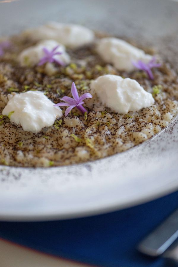 Cures Marines Trouville-sur-Mer - Gastronomy